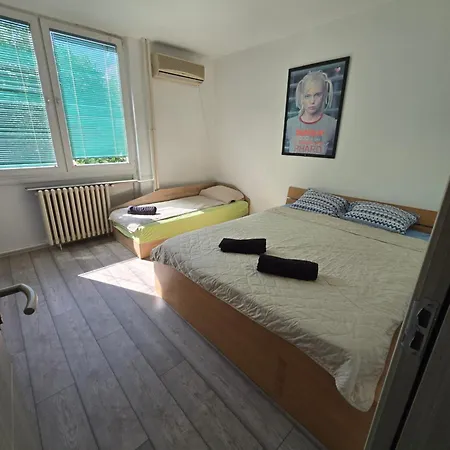 Center W Free P Apartment Skopje