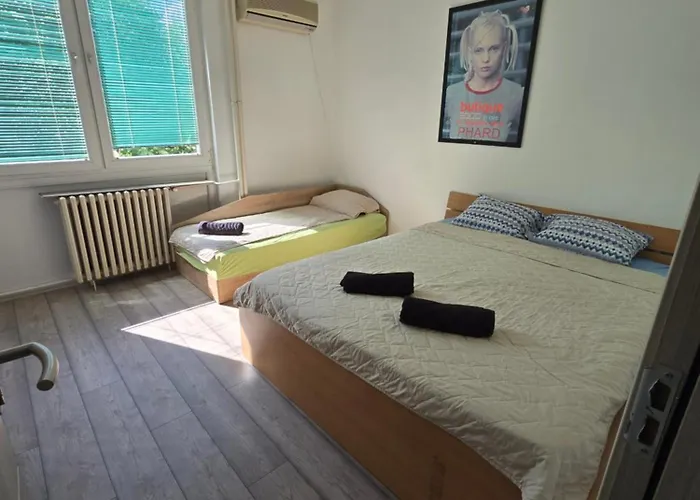 Center W Free P Apartment Skopje